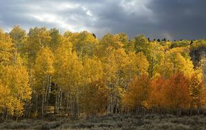 Herber City Hideaway | Beautiful views, Minutes to Park City Resorts, Hot Tub, and more! - Heber City, Utah