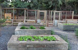 Country Home - Tigoni, Kenya