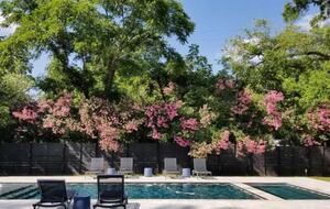 The Ella Norah | A Bespoke Luxury Retreat, Pool Spa - Smithville, Texas