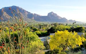 WM Phoenix Open Dates Available Feb 2-9, 2026! Award Winning Hillside Retreat - Paradise Valley, Arizona