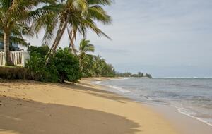 Northshore Beach Cottage - Waialua, Oahu, Hawaii