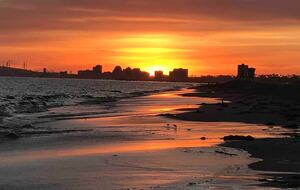 Oceanfront Oasis - Long Beach, California