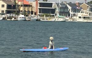 Oceanfront Oasis - Long Beach, California
