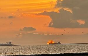 Oceanfront Oasis - Long Beach, California