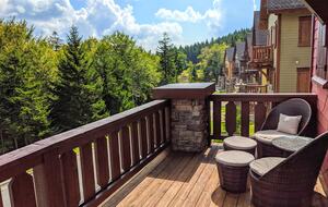 Bear Cub's Den - Snowshoe, West Virginia