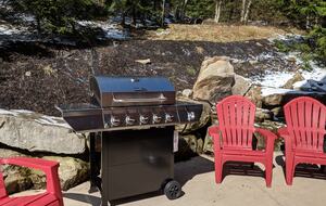 Bear Cub's Den - Snowshoe, West Virginia