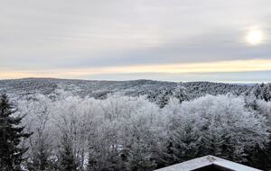 Bear Cub's Den - Snowshoe, West Virginia