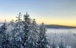 Bear Cub's Den - Snowshoe, West Virginia