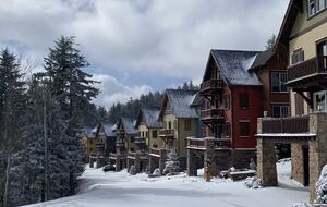 Bear Cub's Den - Snowshoe, West Virginia