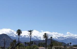 Neighborhood with lush landscaping, views of snow topped mountains