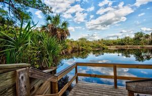 Magnificent Venetian Golf and River Club - North Venice, Florida