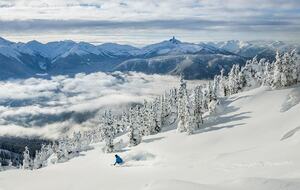 Ski at both Whistler and Blackcomb