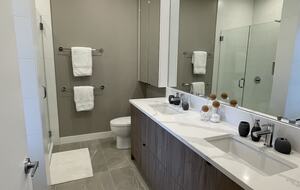 Primary ensuite with separate oversized shower and tub