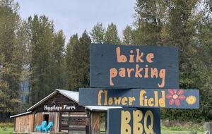 Lots of local farm stands nearby to visit