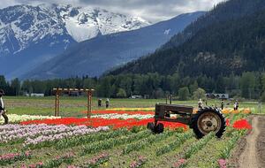 Beautiful farms and flowers