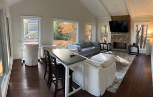 300 SF sunroom with work area, gas fireplace, and pull-out full bed