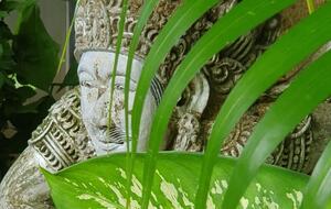 Exotic Beachfront Villa - Bali, Indonesia