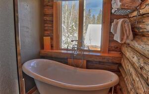 Beauty in the Woods - Breckenridge, Colorado