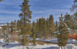 Beauty in the Woods - Breckenridge, Colorado