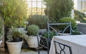 Stylish 1 Bedroom Penthouse with Large Terrace - Edgecliff, Australia