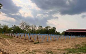 Hocking Hills Private Resort with Vineyard - New Plymouth, Ohio