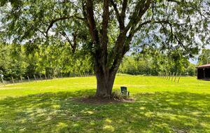 Hocking Hills Private Resort with Vineyard - New Plymouth, Ohio