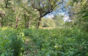 Hocking Hills Private Resort with Vineyard - New Plymouth, Ohio