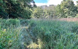 Hocking Hills Private Resort with Vineyard - New Plymouth, Ohio