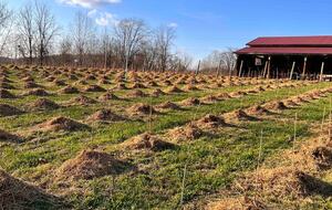 Hocking Hills Private Resort with Vineyard - New Plymouth, Ohio