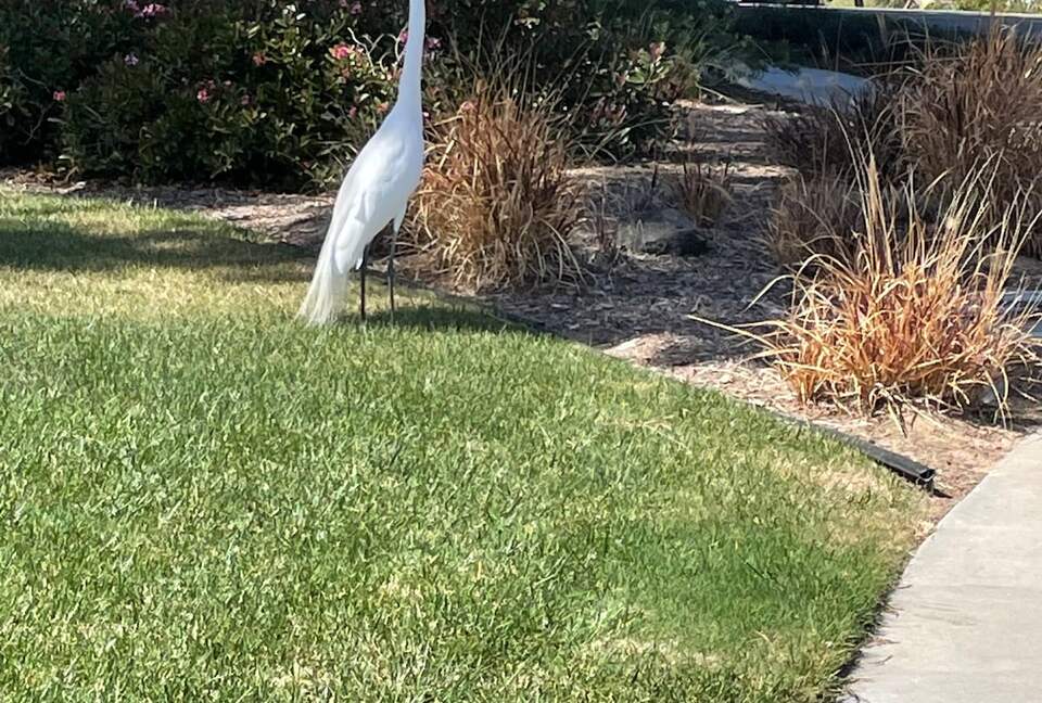 Contemporary Comfort in Arroyo Grande’s Gated Oasis - Arroyo Grande, California