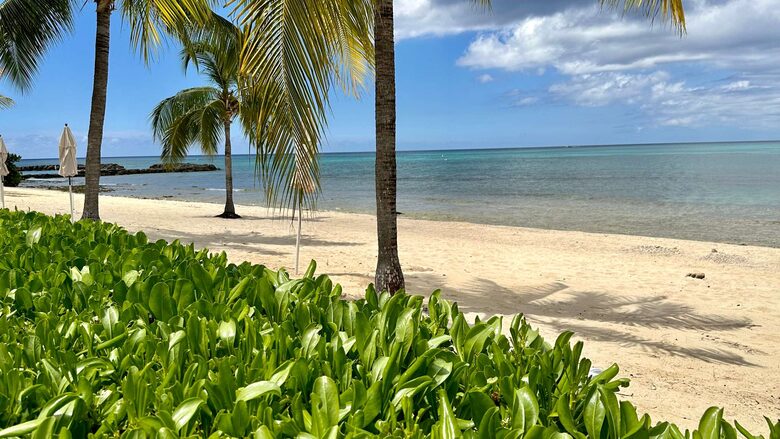 Beachfront Paradise at Crescent Point - seven mile beach, Cayman Islands
