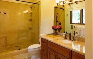 Wine Country Luxury Villa - Santa Rosa, California