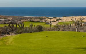 Studio l Grand Solmar Pacific Dunes - Cabo San Lucas, Mexico