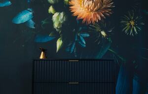 Bella 9 - Macleod, Australia