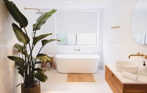 Lake Metung - Metung, Australia