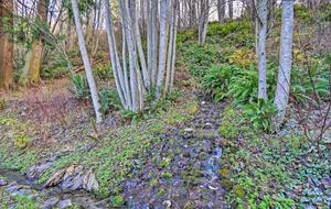 Deer Springs Retreat - Port Angeles, Washington