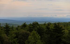 Le Colibri - Woodstock, New York