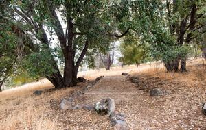 Black Horse Lodge - Fiddletown, California