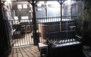 90 Mile Beach Luxury Escape - The Honeysuckles, Australia