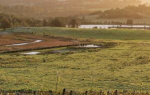 Cupitt's Estate | The Farmhouse - Ulladulla, Australia