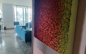 House of Dreams London - London, United Kingdom