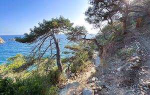 Can Feliu - Sant Feliu de Guixols, Spain