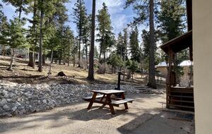Big Bear Cabin - Cloudcroft, New Mexico