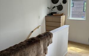 Machiruda - Kutchan- Cho, Japan