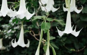 The Art Flat | Woollahra - Sydney, Australia