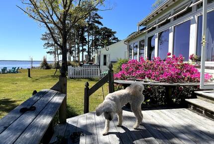Waterfront Home with Private Beach & Panoramic River Views - Oriental, North Carolina