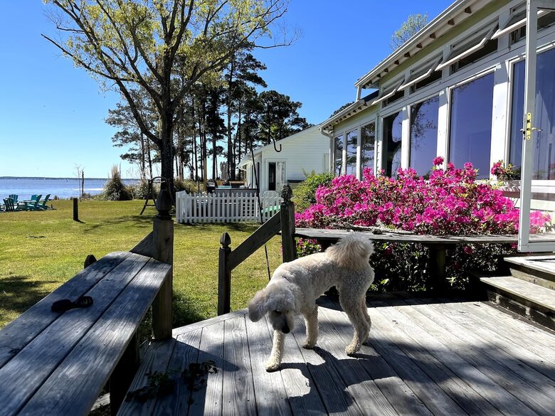 Waterfront Home with Private Beach & Panoramic River Views - Oriental, North Carolina