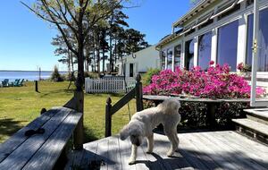 Waterfront Home with Private Beach & Panoramic River Views - Oriental, North Carolina