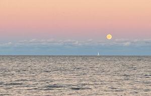 Waterfront Home with Private Beach & Panoramic River Views - Oriental, North Carolina