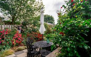 Every season is a different delight in the garden